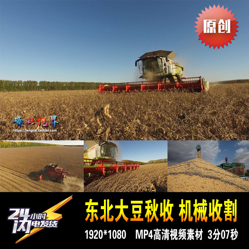 东北大豆现代化农业机械生产丰收收割北大荒生态原创高清视频素材