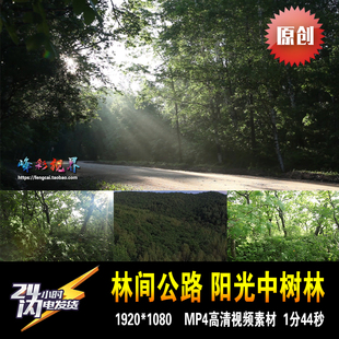 林间公路阳光下树林含航拍山地林区森林 原创高清视频素材