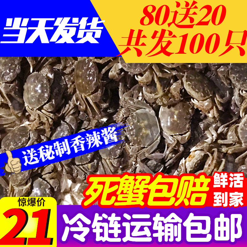 盘锦河蟹大闸蟹鲜活1一元蟹香辣蟹稻田小毛蟹醉蟹老头蟹小螃蟹|msdalam kategori daging perikanan/Buah-buahan segar dan sayur-sayuran/dimasak, makanan laut/produk akuatik/produk, ketam, ketam - dari Buy2taobao.com untuk memberikan perkhidmatan ejen Taobao profesional membeli