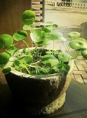 庭院装饰老石器石臼石板石槽摆件