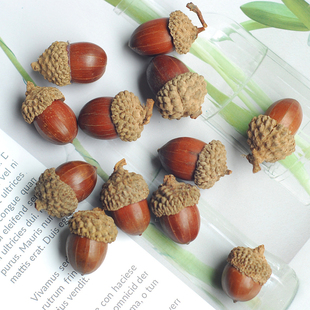 天然果实橡果橡子幼儿园手工创意材料拍摄道具手工diy拍摄道具