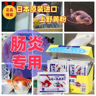 上野黄粉日本进口杀菌消毒鱼药万能疾病治疗观赏鱼肠炎专用鱼药