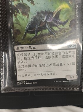 【莎莎的小窝】万智牌 枯萎甲虫 简中平 m20 黑色 生物