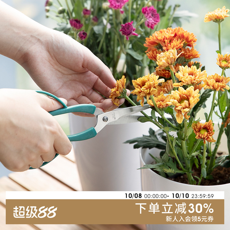 加长园艺花剪纤细盆栽剪