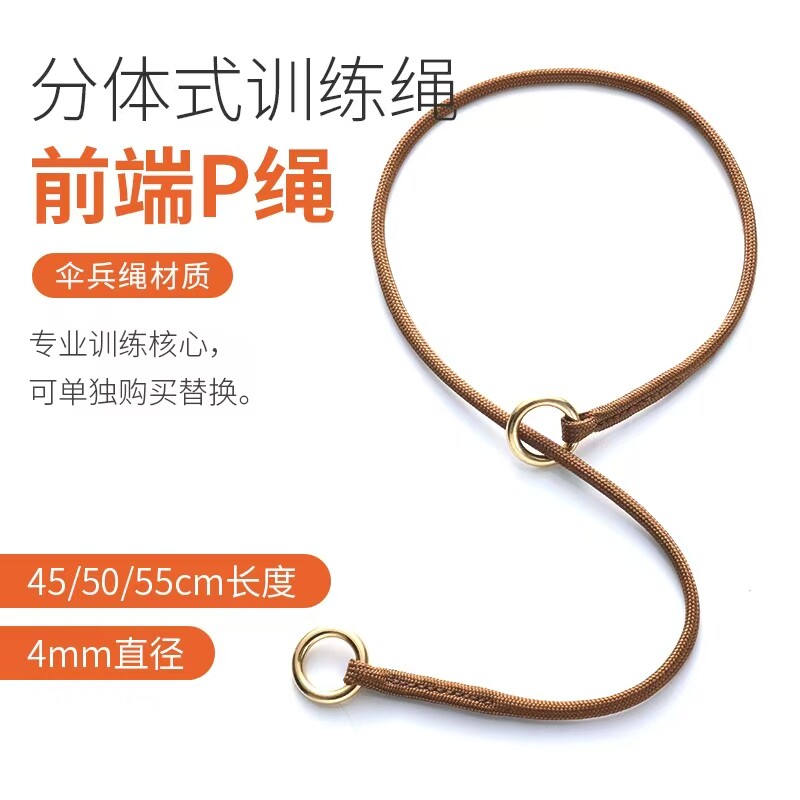 宠物P链纠正狗狗坏习惯牵引绳