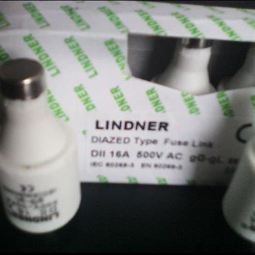 议价Lindner熔断器DII-16A 500V gL/gG