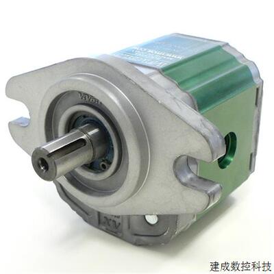 议价意大利VIVOIL齿轮泵X2P4302EBBA X1P2002FZBB X2P4302EBBA