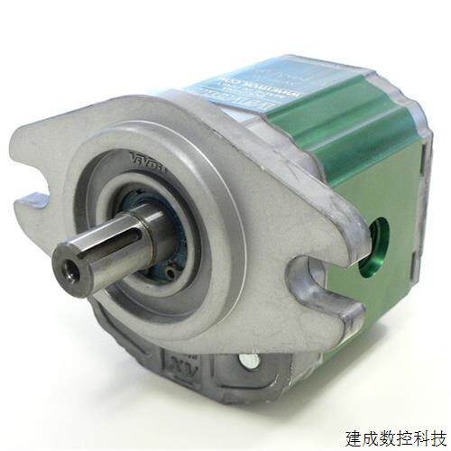 议价意大利VIVOIL齿轮泵X2P4302EBBA X1P2002FZBB X2P4302EBBA