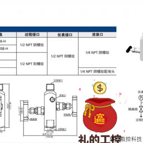 议价FITOK二阀组2RS4-NS8-FNS8-H 304 不锈钢飞托克2R系列仪表二