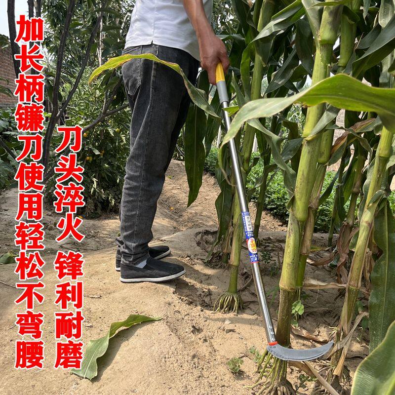 加长柄镰刀锋利耐用收割不弯腰整体淬火锰钢镰刀水稻玉米两用镰刀