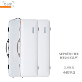 配谱袋 小提琴琴盒 ICE2018XLW ICE冰至上系列 法国Bam正品