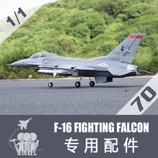 飞翼 70 F16 F-16配件