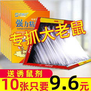 老鼠贴超强力粘鼠板抓大老鼠夹扑捉灭鼠胶沾正品 家用捕鼠神器冬季