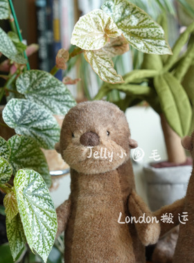 国内现货英国JellycatBrookeotter布鲁克水獭雪蛙Jelly小圆毛蛙