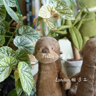 国内现货英国JellycatBrookeotter布鲁克水獭雪蛙Jelly小圆毛蛙