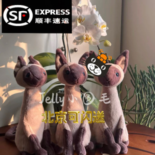 国内现货 Jellycat秒发暹罗猫招财吉利猫 英国代购