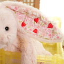 外来订单玩偶定制刺绣生日礼物无痕绣拆绣修复上迪玩偶jellycat