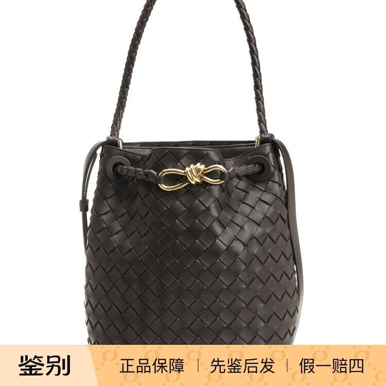 BOTTEGA VENETA 女士andiamo小号棕色水桶包26早春新款意大利代购