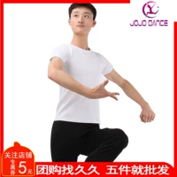 Dan Shi Ge quần áo khiêu vũ đích thực nam Lycra cotton tay áo ngắn cổ tròn Áo thun co giãn dựa trên cơ thể - Khiêu vũ / Thể dục nhịp điệu / Thể dục dụng cụ giày dance