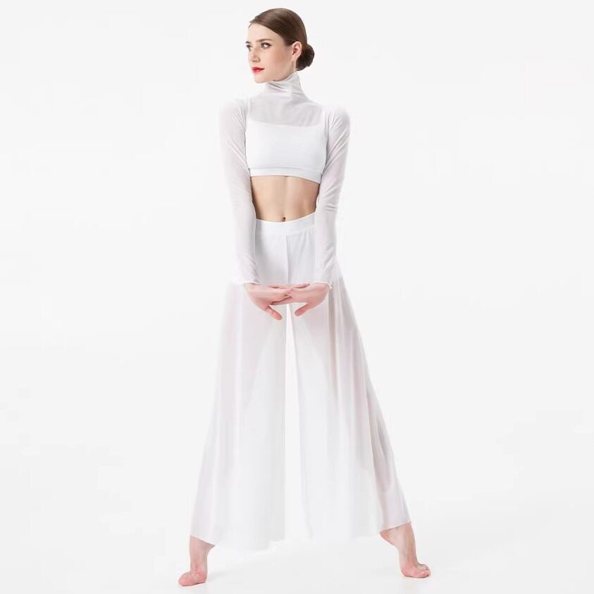 丹诗戈现代舞服训练服网纱舞蹈裤表演形体服紧身高领上衣阔腿长裤图片