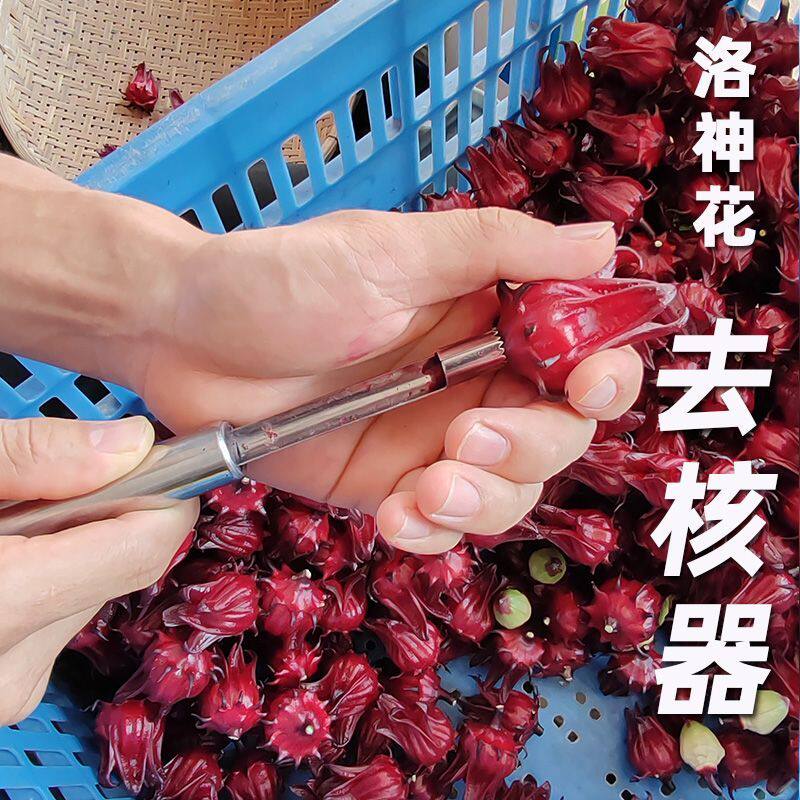 去核器洛神花去籽器红桃果K玫瑰茄去核神器红枣去除芯籽核工具