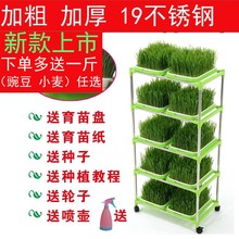 豆芽菜种植盆室内家庭家用芽苗菜1
