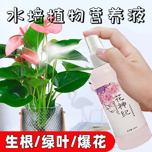 水培植物专用营养液绿萝富贵竹铜钱草碗莲观音竹肥料通用养根壮根