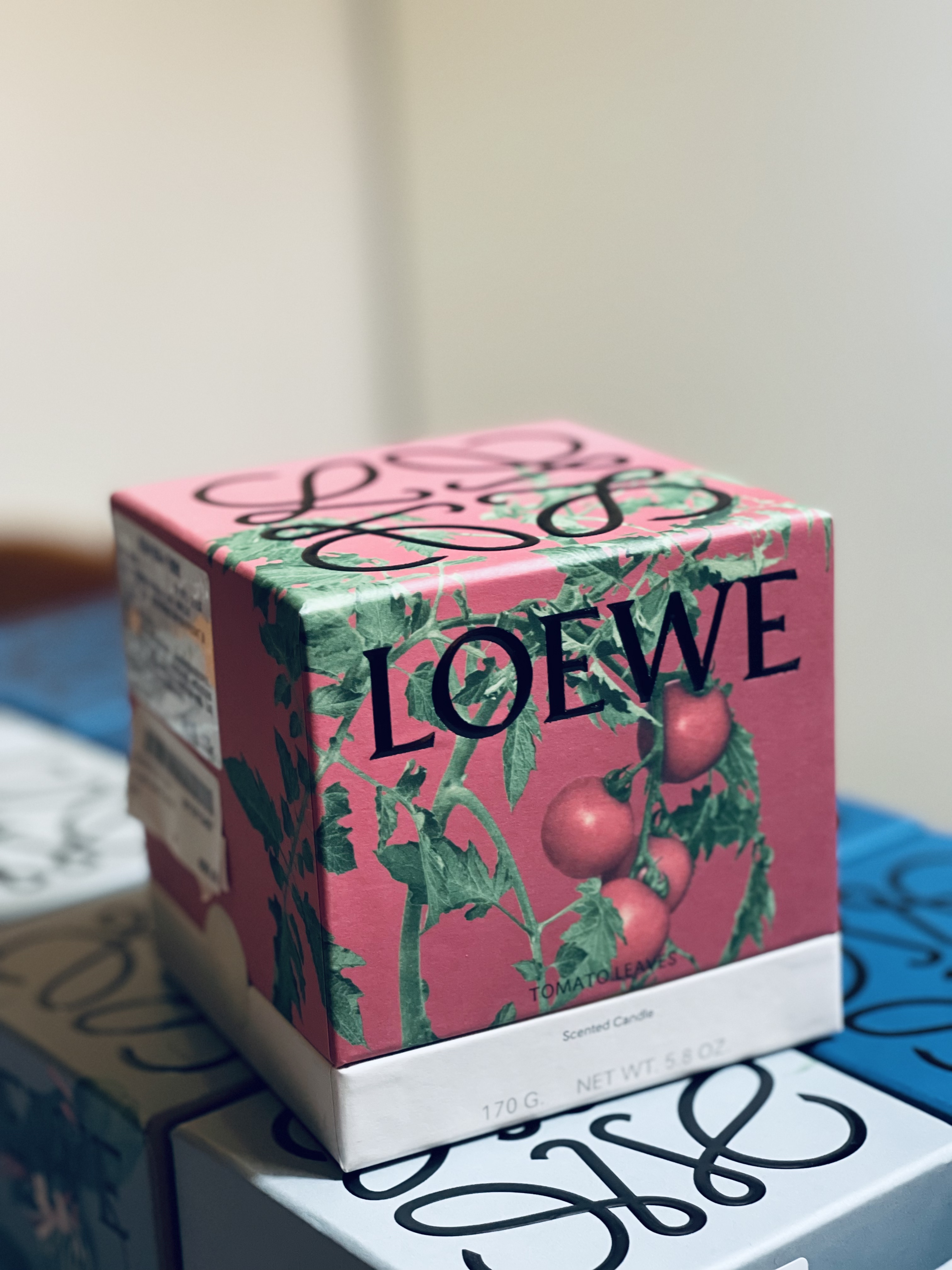 LOEWE植物味道香薰蜡烛高逼格