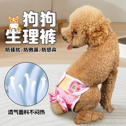 狗狗生理裤比熊柴犬月经例假防搔扰侧漏姨妈内裤专用裤宠物狗