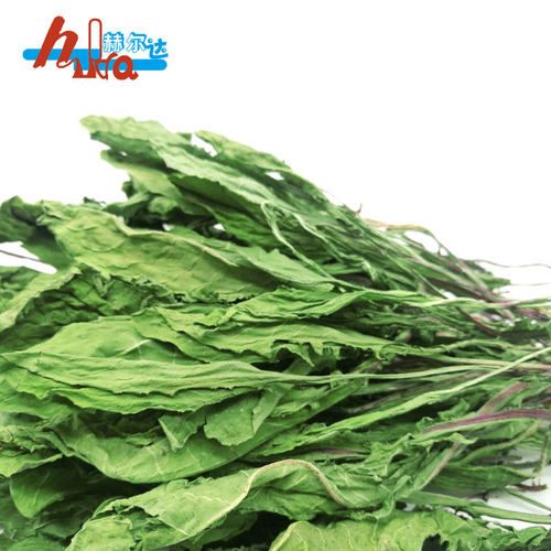 赫尔达烘干蒲公英干草兔龙猫豚鼠