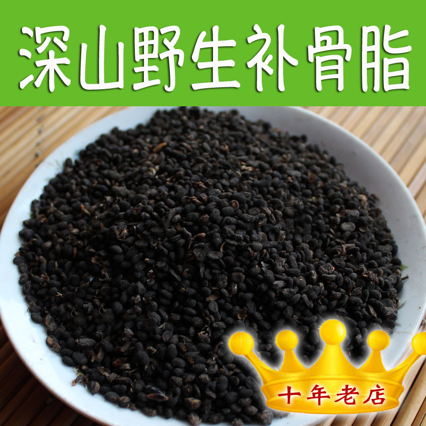 太行山深处采收 补骨脂 补骨脂粉/炒盐补骨脂粉 巍巍太行山中药材