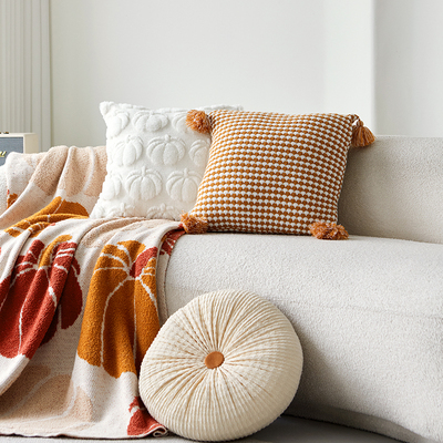 2025新款沙发靠背垫客厅沙发抱枕飘窗腰靠垫创意抱枕靠枕套不含芯