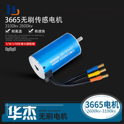 3665经典内转4极无感无刷电机轴Y5.0 3100KV2600KV遥控车船用马达