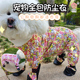 狗狗四脚衣防护腿脏全包泰迪博美中小犬防尘虫掉毛包肚外出遛狗服