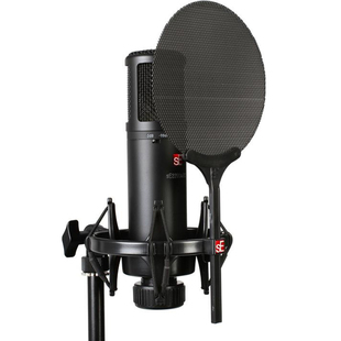 SE 2200大振膜电容麦克风话筒专业录音棚网课主播直播设备K歌电音