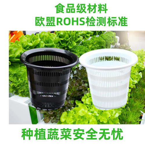 无土栽培阳台种菜花盆圆形定植杯