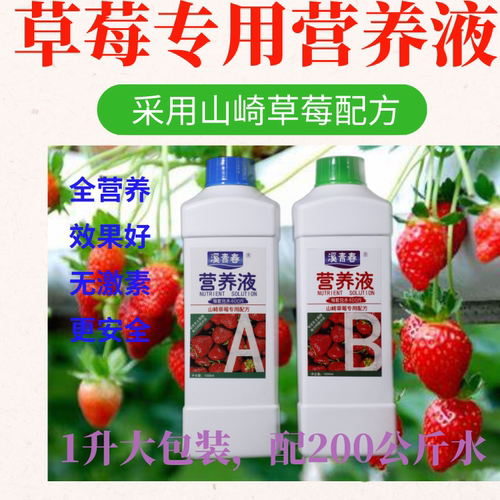 草莓营养液无土栽培通用促花促果