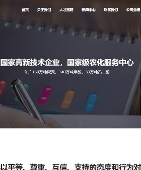 vue企业门户自适应有演示