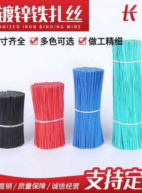 镀锌铁丝线材电器配件包塑扎带