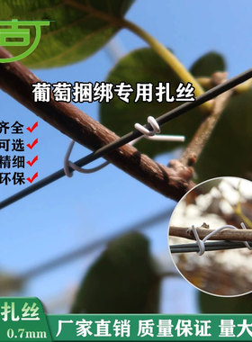0.7新款圆12厘米白色绿一万根葡萄扎丝捆绑枝条猕猴桃扎线火龙果