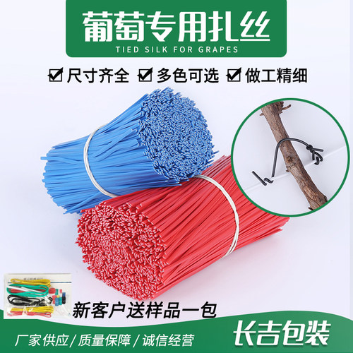 葡萄圆扁一万条园林12cm白色扎丝