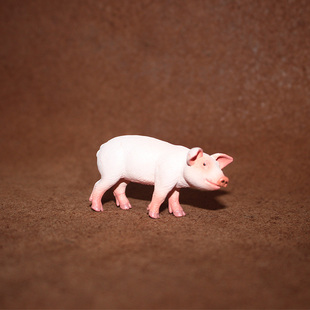 safari 小猪崽 仿真农场动物模型玩具场景摆件