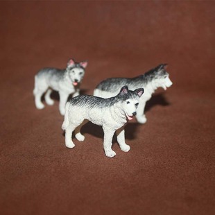 爱斯基摩长毛狗 哈士奇 散货仿真动物模型玩具 safari正版 雪橇犬
