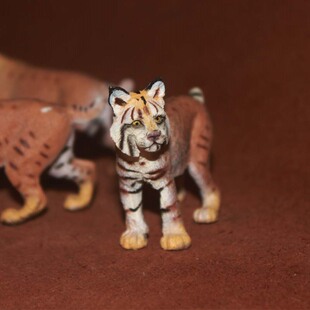 safari正版散货仿真野生动物模型塑料玩具 美州短尾山猫 野猫