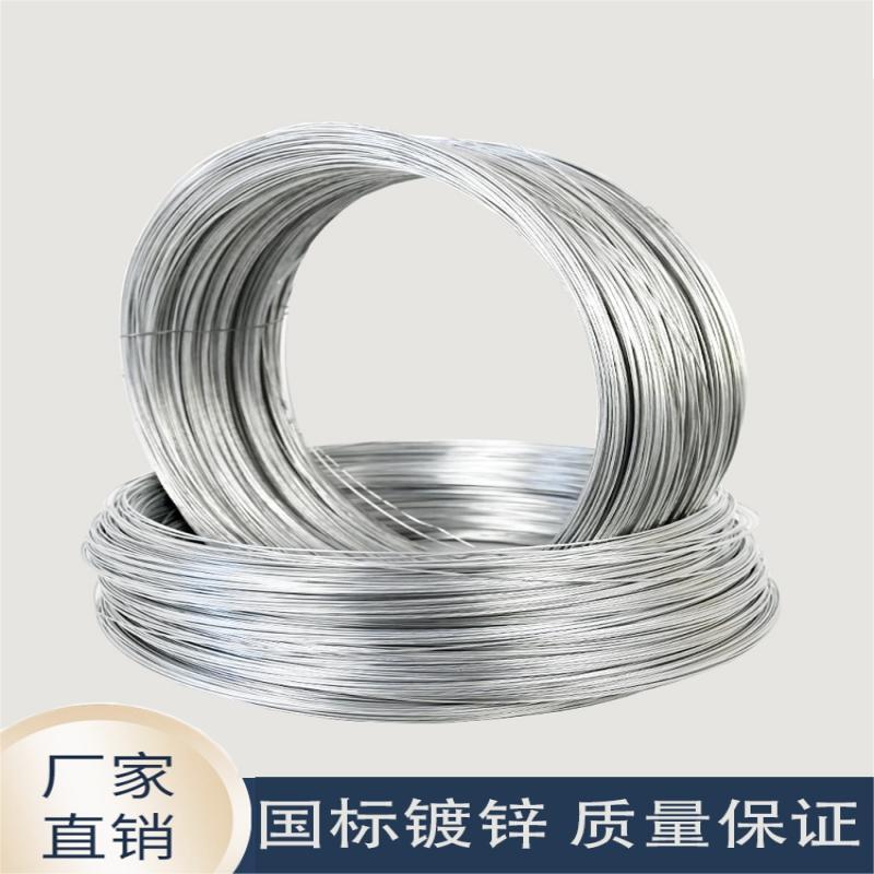 防锈镀锌铁丝铁线丝手工diy扎丝挂窗帘晾衣绳8/14细软铁丝线14号
