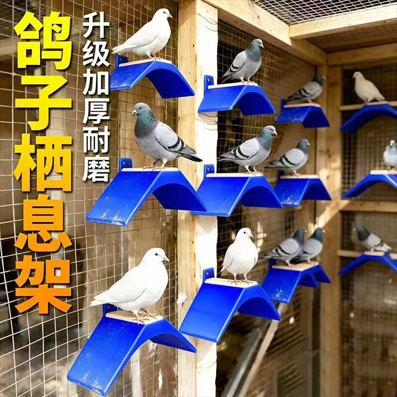 鸽子用品用具鸽子栖架站架带挂钩站架塑料挂钩款式鸽子栖架栖息架