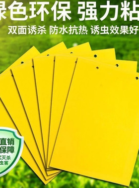 强力防虫及飞蛾大棚通用黄色诱捕家用苍蝇双面克星室内外是粘虫板