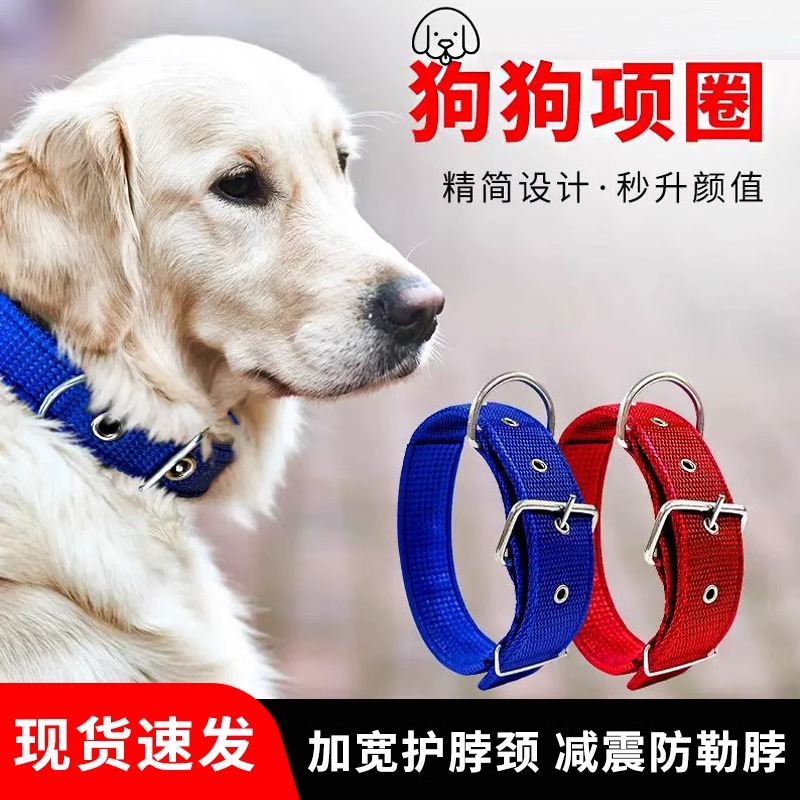 大型犬狗狗项圈宠物用品狗圈颈圈脖圈中型犬金毛脖套头套结实马犬