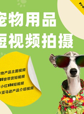 亚马逊电商宠物模特用品拍摄信息流视频狗狗猫咪摄影产品拍照视频