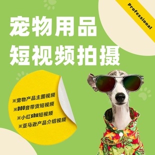 亚马逊电商宠物模特用品拍摄信息流视频狗狗猫咪摄影产品拍照视频